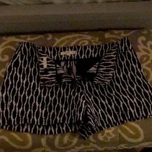 Ann Taylor Loft, the riviera shorts, navy & white